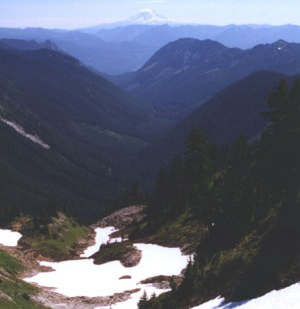 Plummer Peak