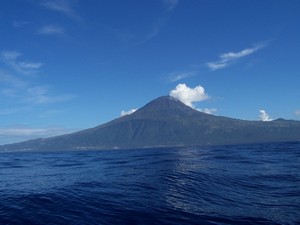 Pico